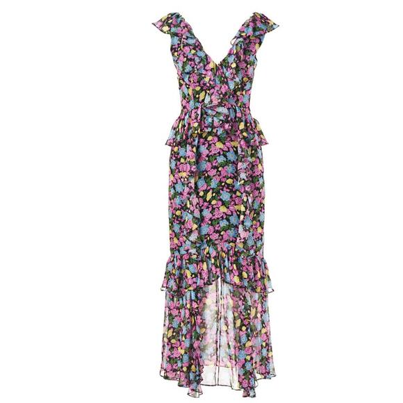 AMUR Floral Evita Maxi Dress in Black Anemone Floral Size 2 - Picture 3 of 4